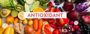 All About Antioxidant